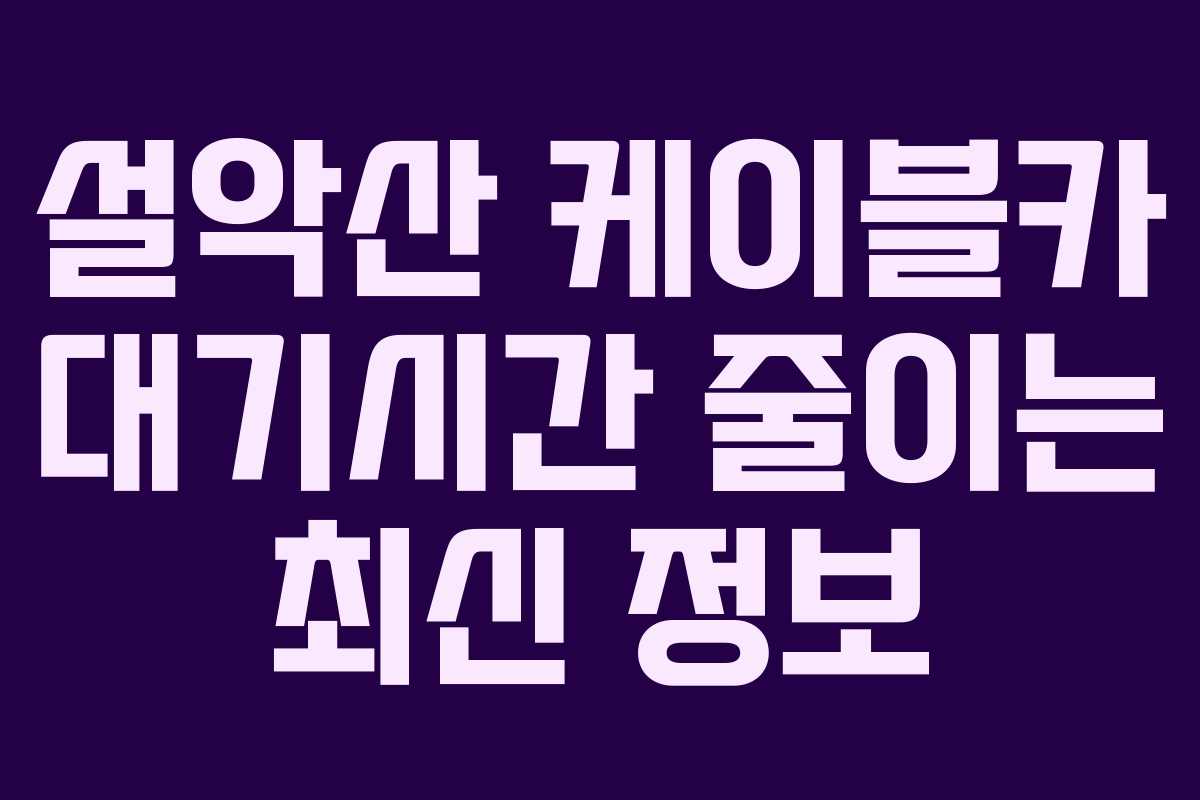 설악산 케이블카 대기시간 줄이는 최신 정보