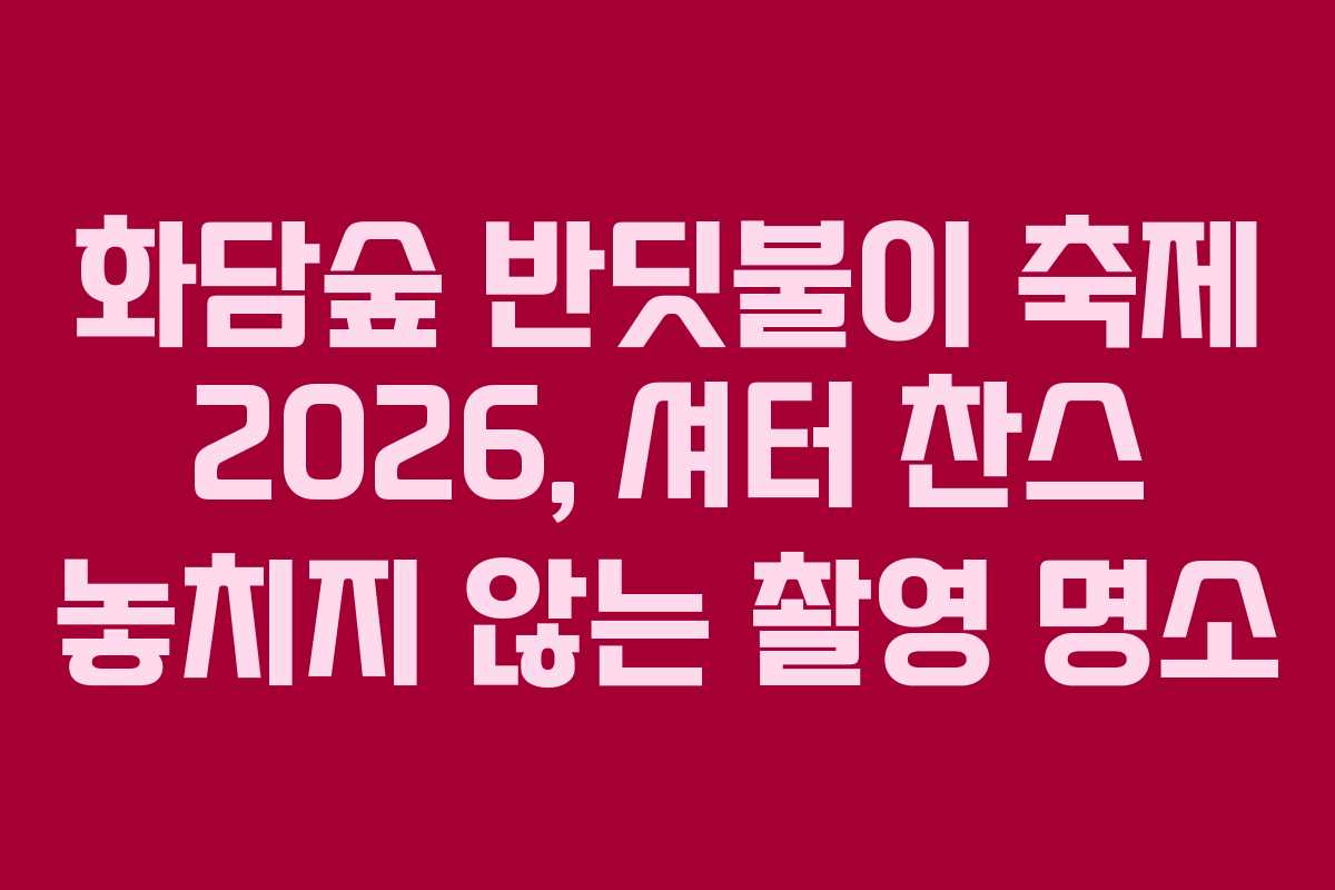 화담숲 반딧불이 축제 2026, 셔터 찬스 놓치지 않는 촬영 명소