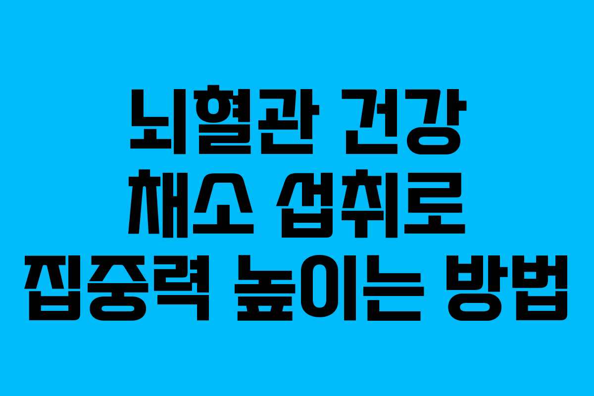 뇌혈관 건강 채소 섭취로 집중력 높이는 방법 뇌혈관 건강 채소 섭취로 집중력 높이는 방법