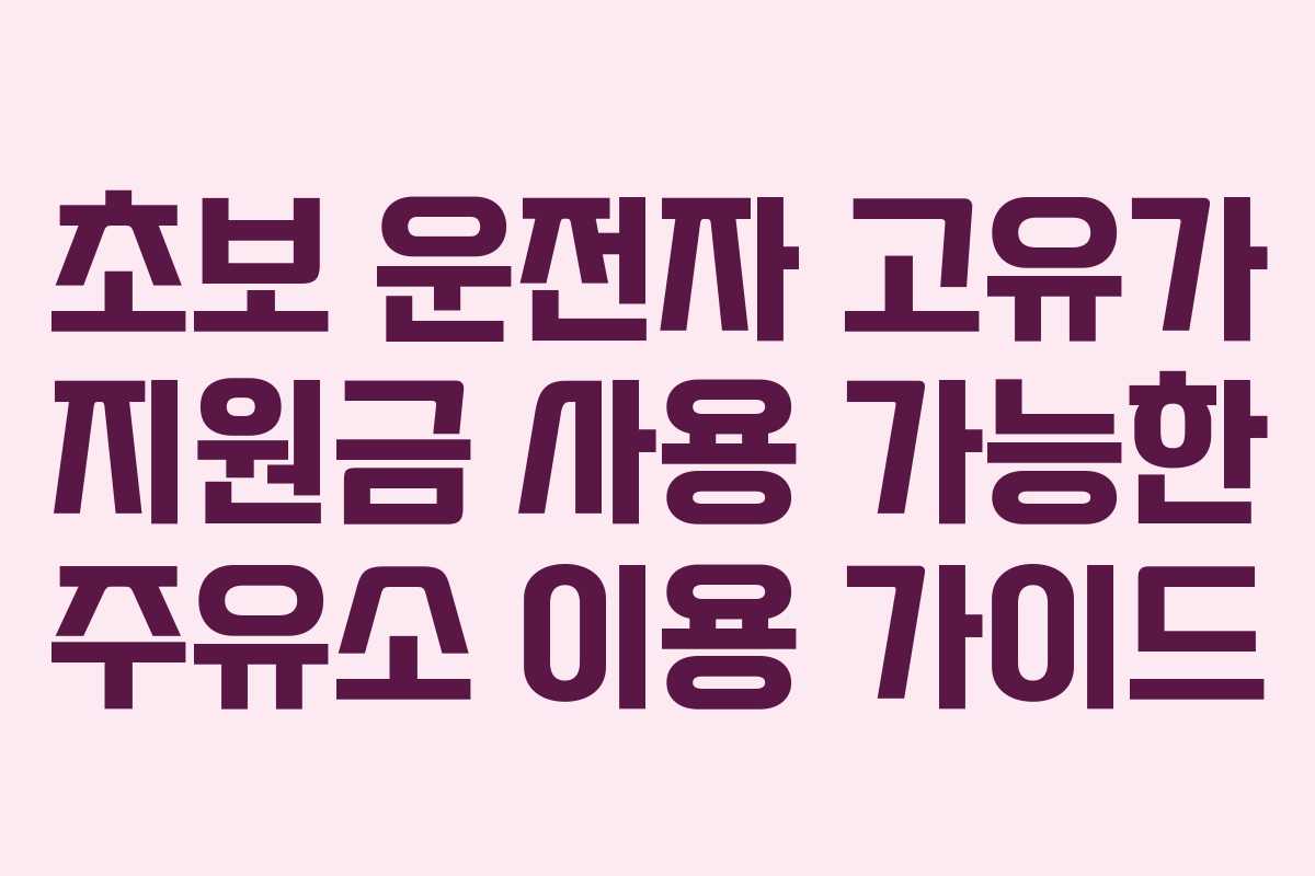 초보 운전자 고유가 지원금 사용 가능한 주유소 이용 가이드 초보 운전자 고유가 지원금 사용 가능한 주유소 이용 가이드