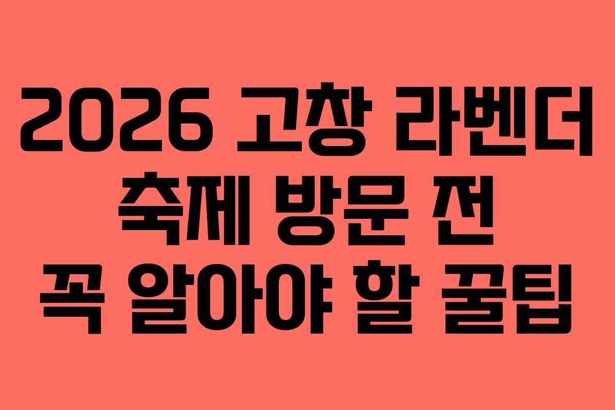 2026 고창 라벤더 축제 방문 전 꼭 알아야 할 꿀팁