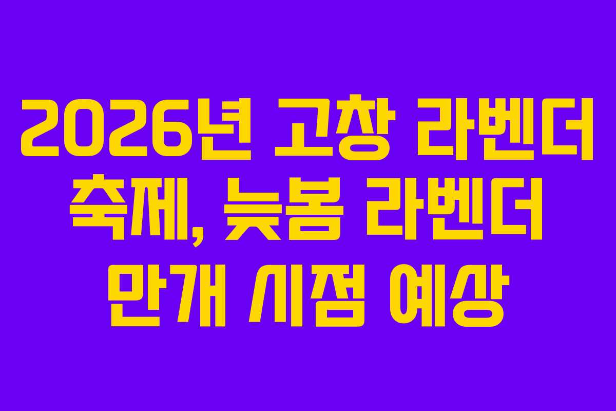 2026년 고창 라벤더 축제, 늦봄 라벤더 만개 시점 예상