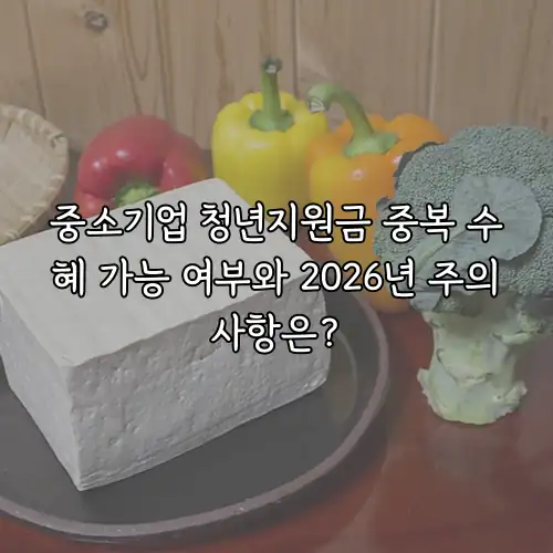 중소기업 청년지원금 중복 수혜 가능 여부와 2026년 주의사항은?