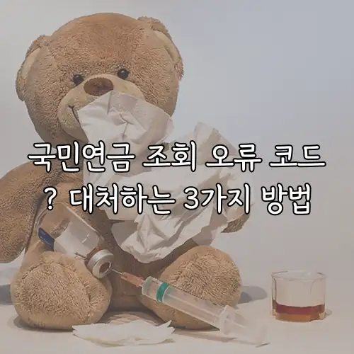 국민연금 조회 오류 코드? 대처하는 3가지 방법