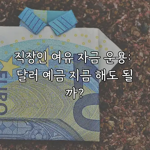 직장인 여유 자금 운용: 달러 예금 지금 해도 될까?