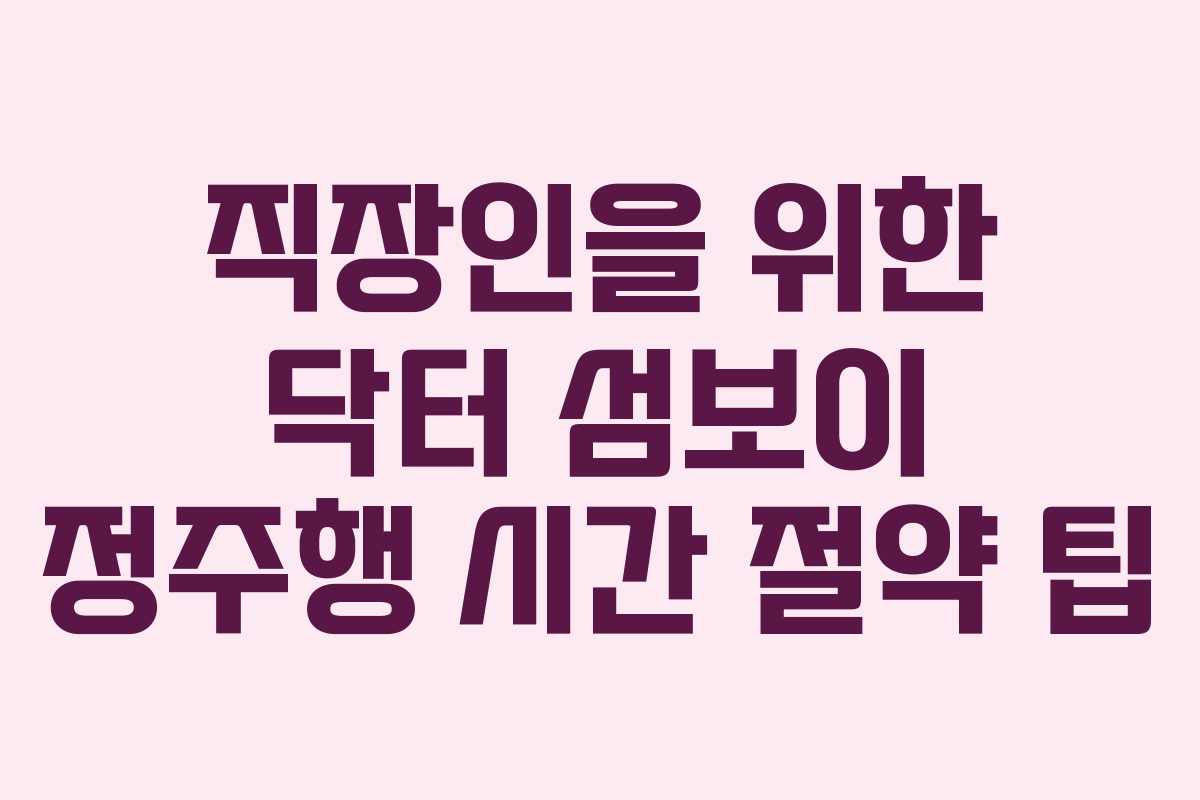 직장인을 위한 닥터 섬보이 정주행 시간 절약 팁