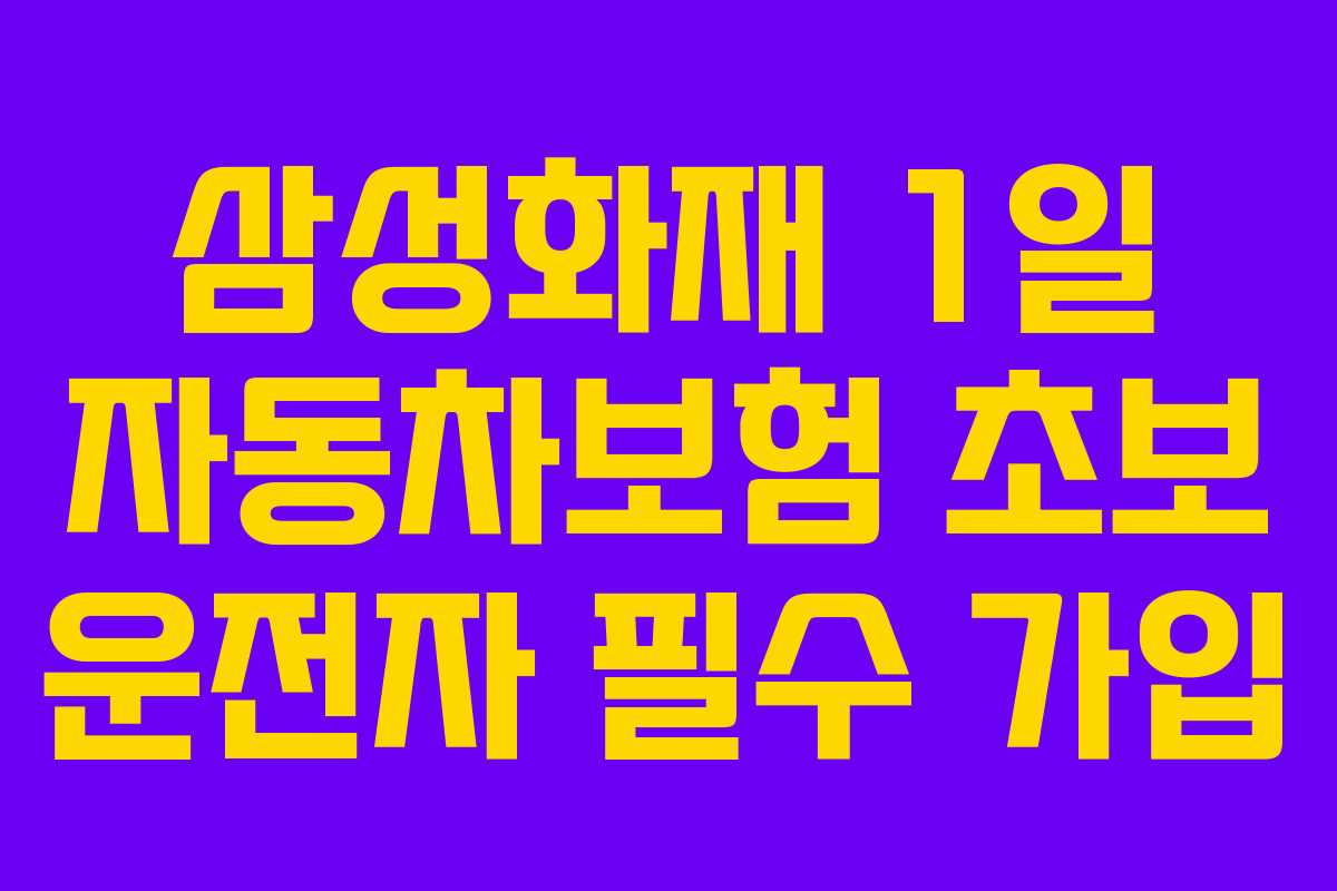 삼성화재 1일 자동차보험 초보 운전자 필수 가입 삼성화재 1일 자동차보험 초보 운전자 필수 가입