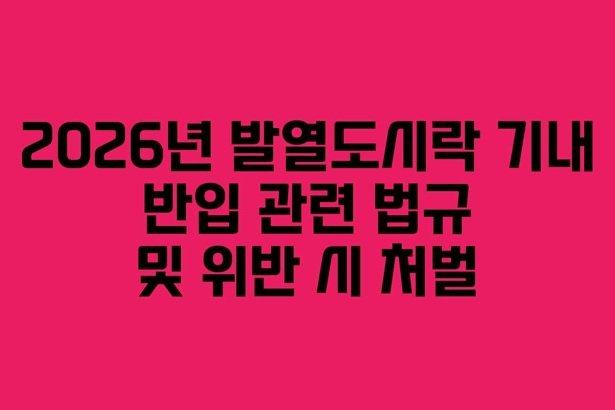 2026년 발열도시락 기내 반입 관련 법규 및 위반 시 처벌 2026년 발열도시락 기내 반입 관련 법규 및 위반 시 처벌