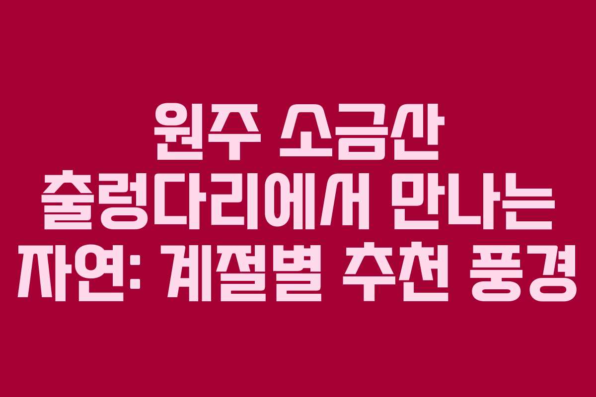 원주 소금산 출렁다리에서 만나는 자연: 계절별 추천 풍경